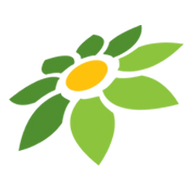 LINK PAITO WARNA SDY